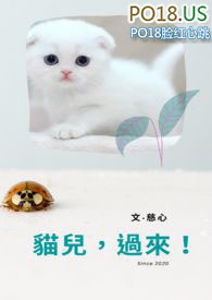 猫儿山属于哪个地方